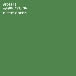 #50854E - Hippie Green Color Image